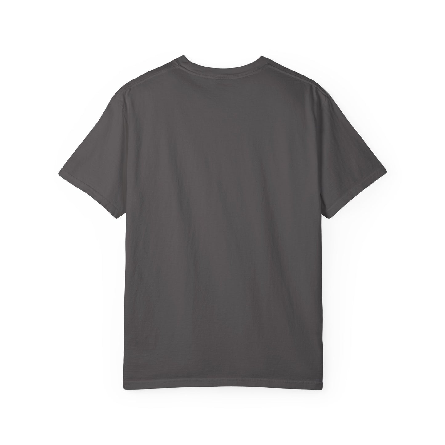 Florida Proudly Rebuilding T-Shirt