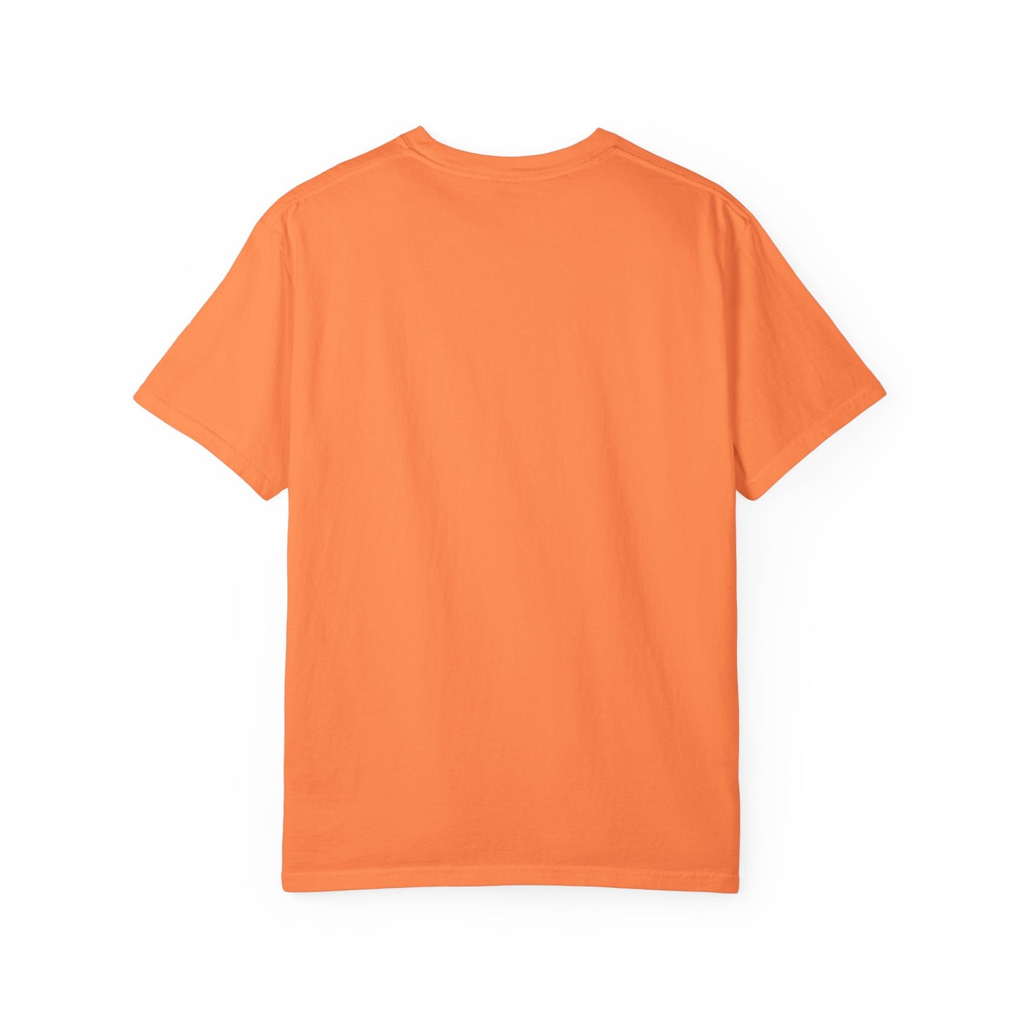Florida Proudly Rebuilding T-Shirt